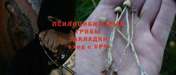 2c-b Михайловка