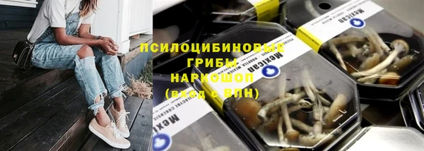 2c-b Михайловка